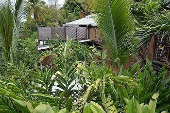 Residence Les Hauts De Deshaies Guadeloupe